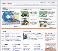 �ӥǥ���������